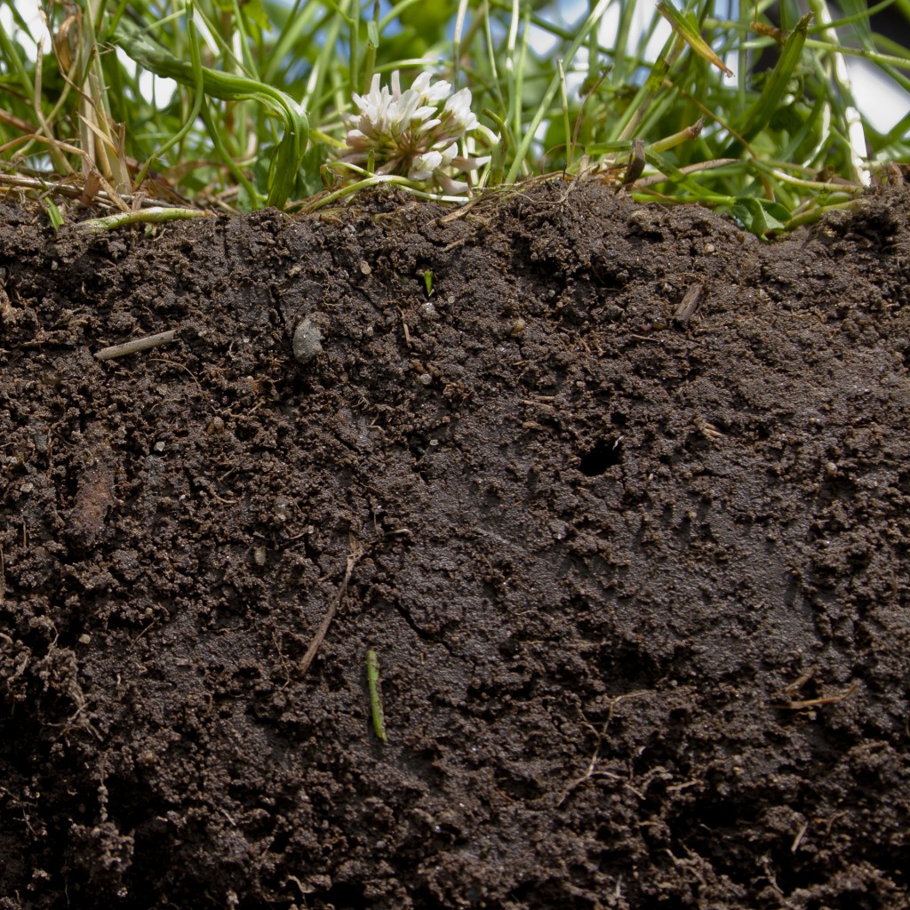 Get to know your garden Soil