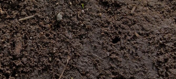 How to Create Amazing Garden Soil from Clay, Silt or Sand