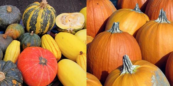 Squash and Pumpkins