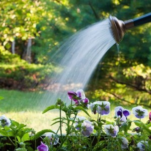 Watering Can