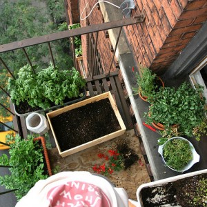 Container Garden