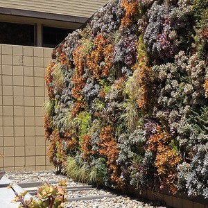 Vertical Wall Garden