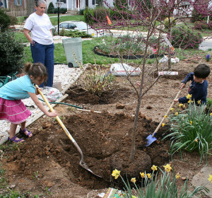 kids planting a tree