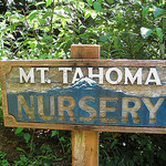 Mt. Tahoma Nursery