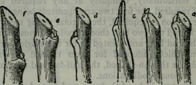 Correct way to prune smaller braches