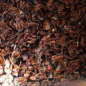 Pecan Hulls