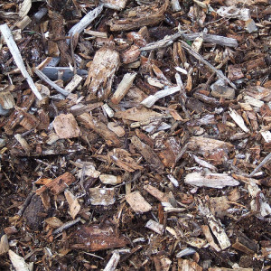 Wood Chips