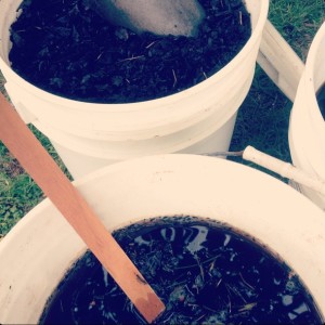 Compost Tea