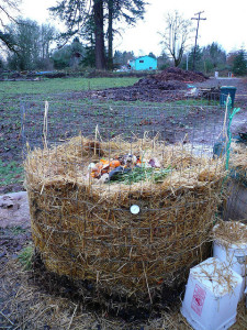 compost wire cage