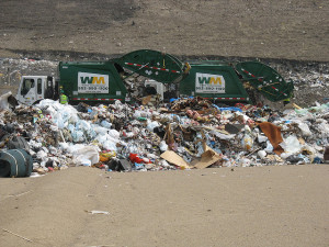 landfill