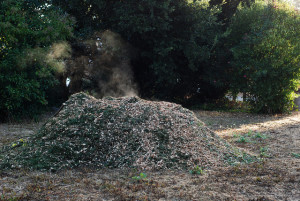 Steaming Compost Pile