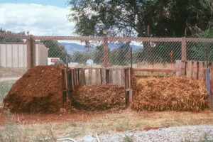 Three Bin System