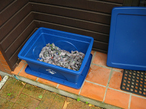 blue-bin-with-shredded-news-paper