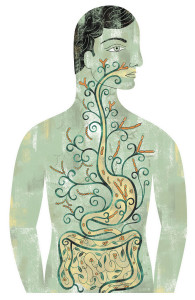 Probiotics